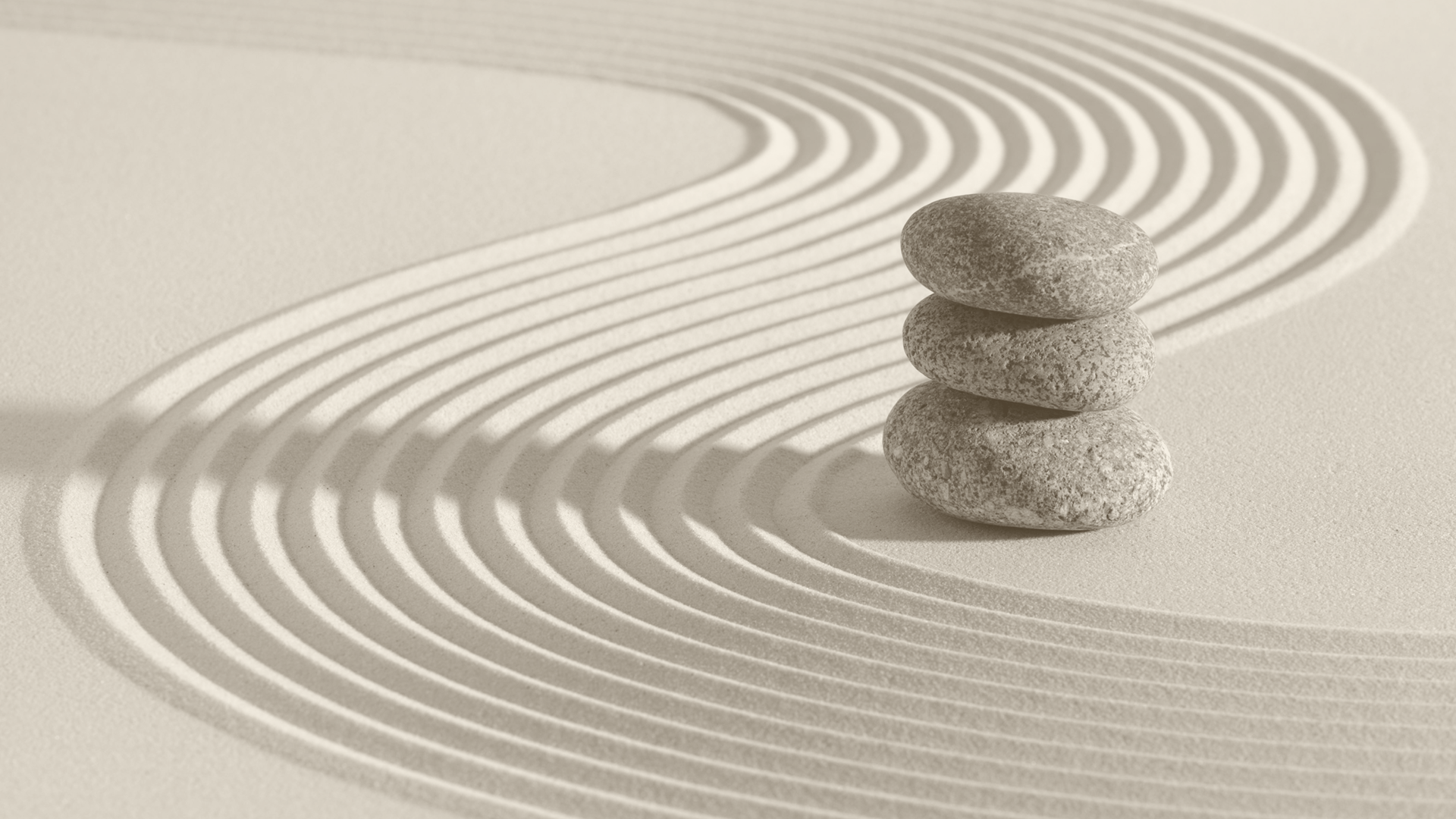 jardin zen 1